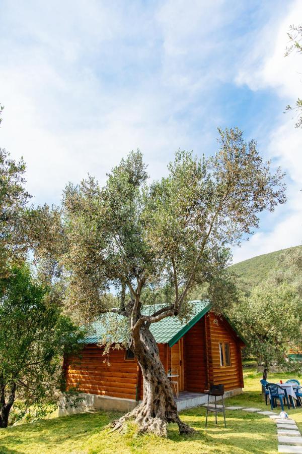 Katana Village Apartment Ülgün Dış mekan fotoğraf