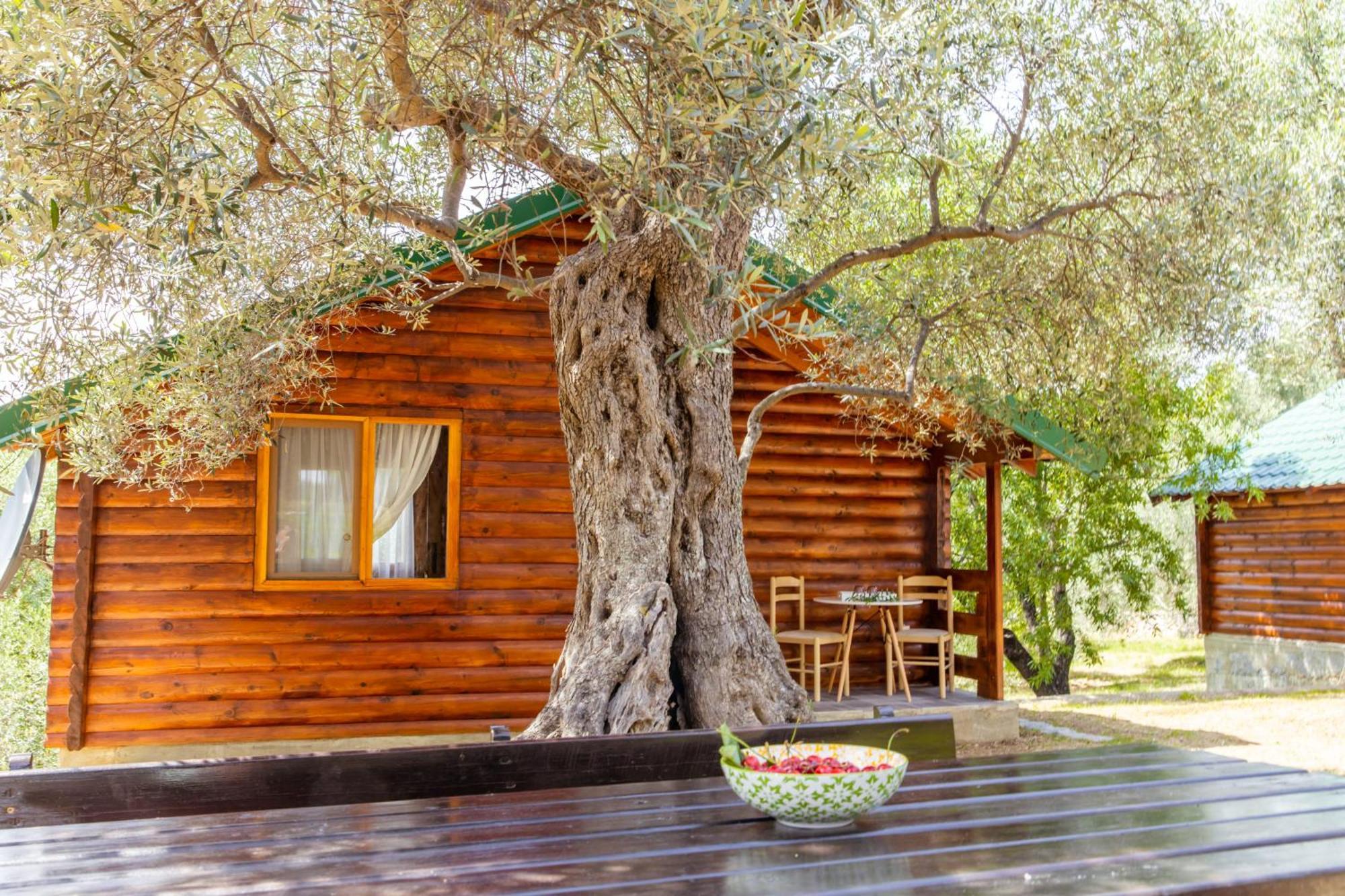 Katana Village Apartment Ülgün Dış mekan fotoğraf